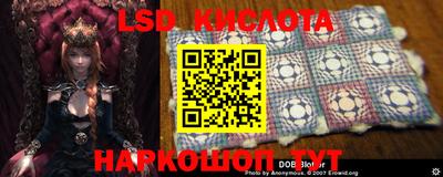 крисы Ливны
