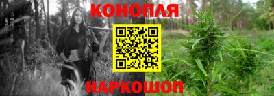 крисы Ливны