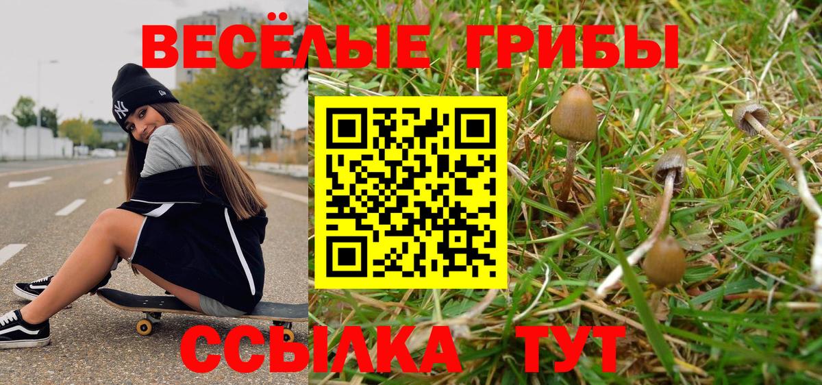 Псилоцибиновые грибы мицелий Воткинск